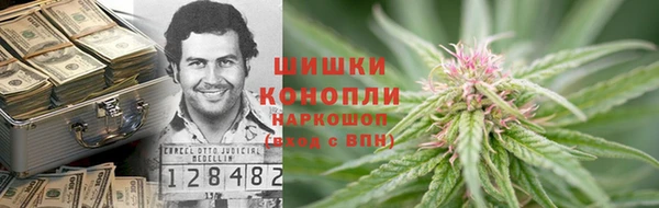ПСИЛОЦИБИНОВЫЕ ГРИБЫ Абаза