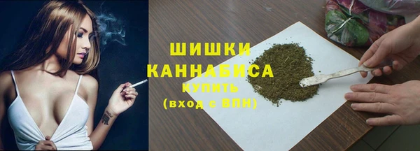 ПСИЛОЦИБИНОВЫЕ ГРИБЫ Абаза