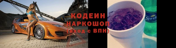 ПСИЛОЦИБИНОВЫЕ ГРИБЫ Абаза