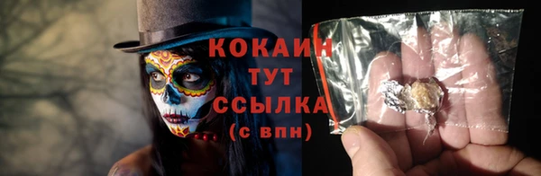 ПСИЛОЦИБИНОВЫЕ ГРИБЫ Абаза