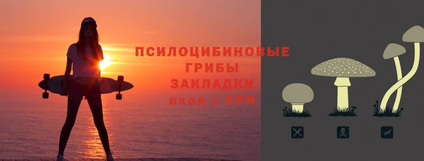 ПСИЛОЦИБИНОВЫЕ ГРИБЫ Абаза