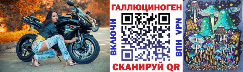 блэк спрут как зайти  Советск  Псилоцибиновые грибы мухоморы 